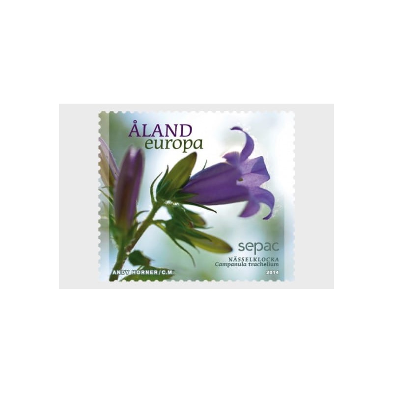 Wyspy Alandzkie 2014, Flora, kwiat, dzwonek **