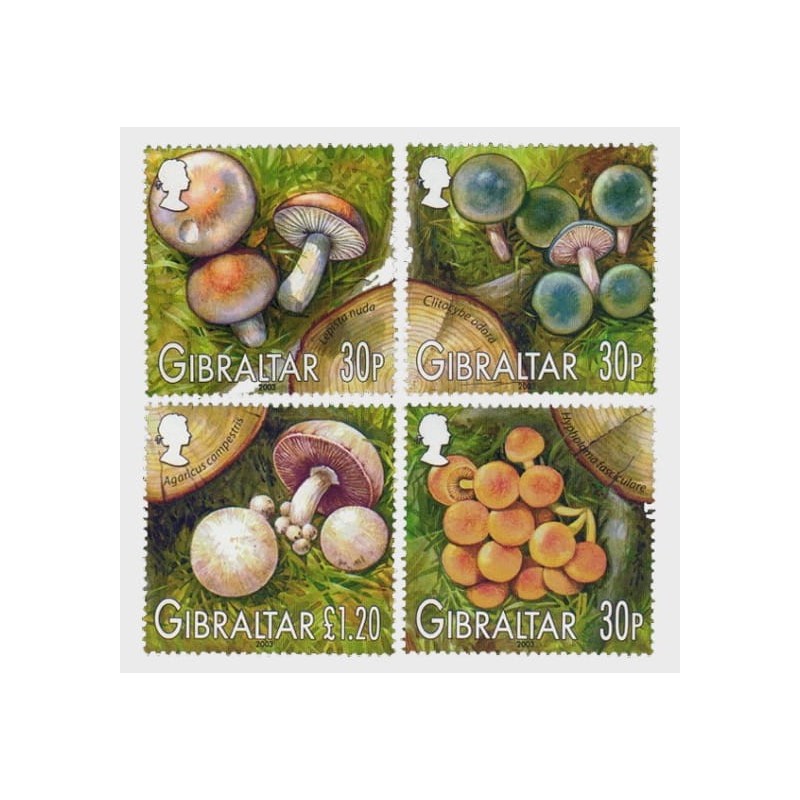 Gibraltar 2003, Grzyby **