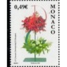 Monako 2008, Kwiaty, konkurs bukietów **