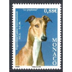 Monako 2008, Pies, wystawa psów **