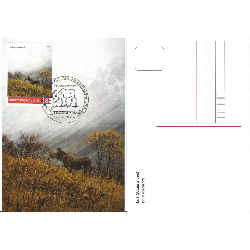 2014 karta maksimum. Trzebinia, fauna, łoś. Personalizowany