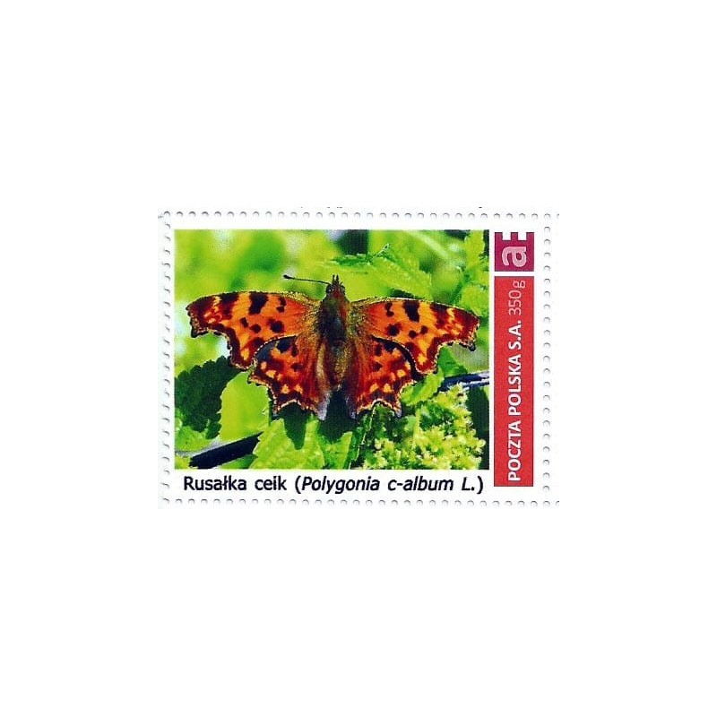 2013 Personalizowany. Motyl rusałka ceik
