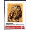 2014 Personalizowany. Ptaki: sowa pójdźka
