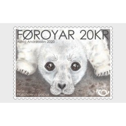 Wyspy Owcze 2020, Ssaki: foka **