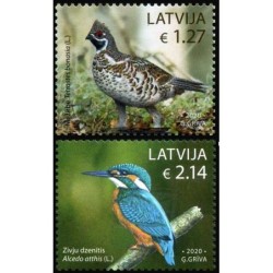Łotwa 2020, Ptaki: jarząbek i zimorodek **