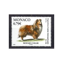 Monako 2003, Pies, psy Collie **