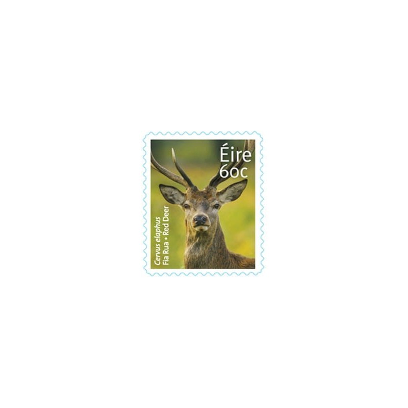 Irlandia 2013, Fauna: jeleń. Samoprzylepny **