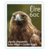 Irlandia 2013, Ptaki: orzeł. Samoprzylepny **