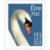 Irlandia 2014, Ptaki: łabędź. Samoprzylepny **