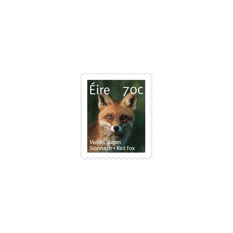 Irlandia 2015, Fauna: lis. Samoprzylepny **