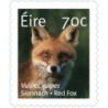 Irlandia 2015, Fauna: lis. Samoprzylepny **