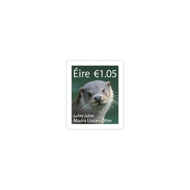 Irlandia 2015, Fauna: wydra. Samoprzylepny **