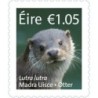 Irlandia 2015, Fauna: wydra. Samoprzylepny **