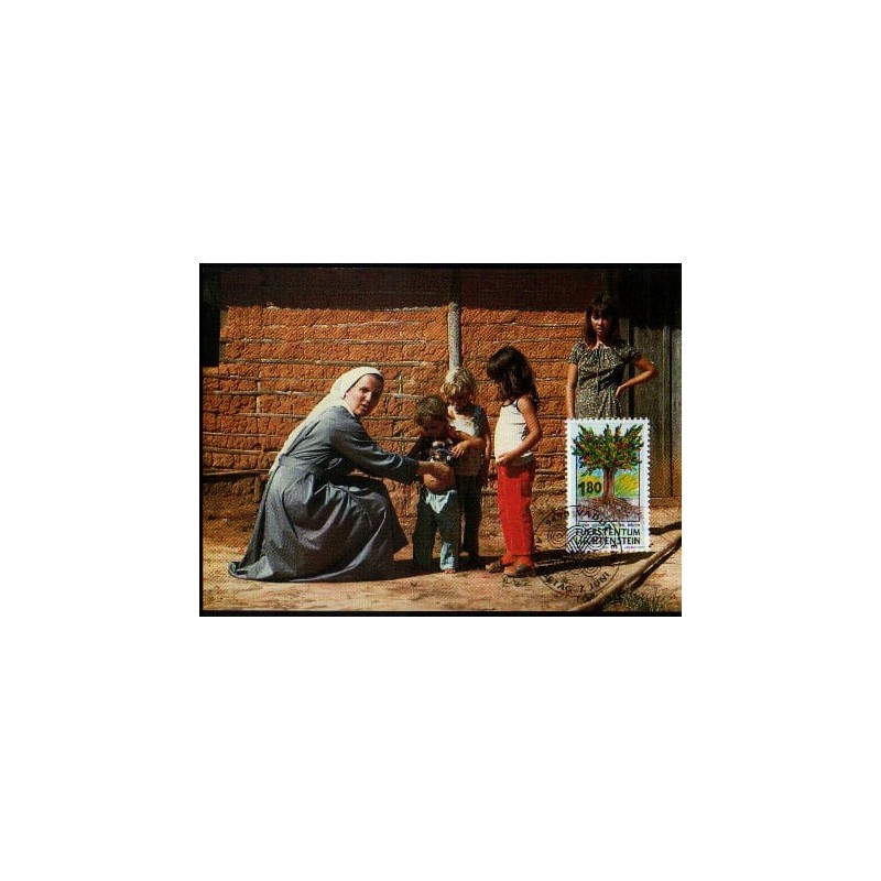 Liechtenstein 1993, Misje, misjonarze. Karta maksimum