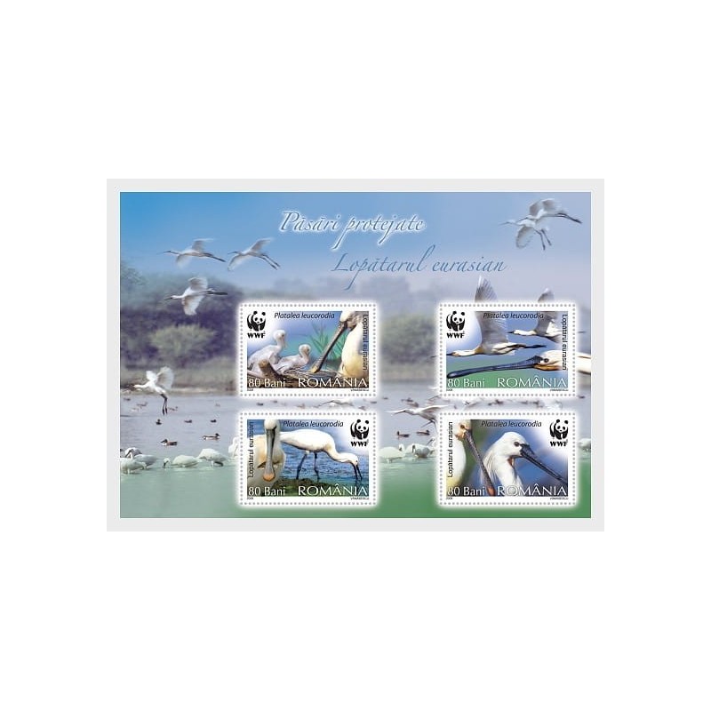 Rumunia 2006, Ptaki wodne WWF. Blok **