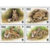 Kirgistan 1999, Fauna: lis stepowy, WWF **