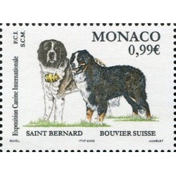 Monako 2002, Pies, psy. Bernardyn i Bouvier **