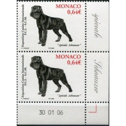 Monako 2006, Pies, wystawa psów, sznaucer. Margines **