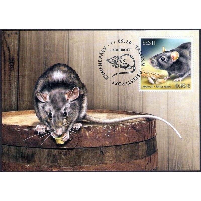Estonia 2020, Zwierzęta: szczur. Karta maksimum