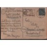 Niemcy 1946, Owady: stonka ziemniaczana. Berlin
