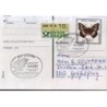 Niemcy 1991, Owady: motyl, motyle. Funfstetten