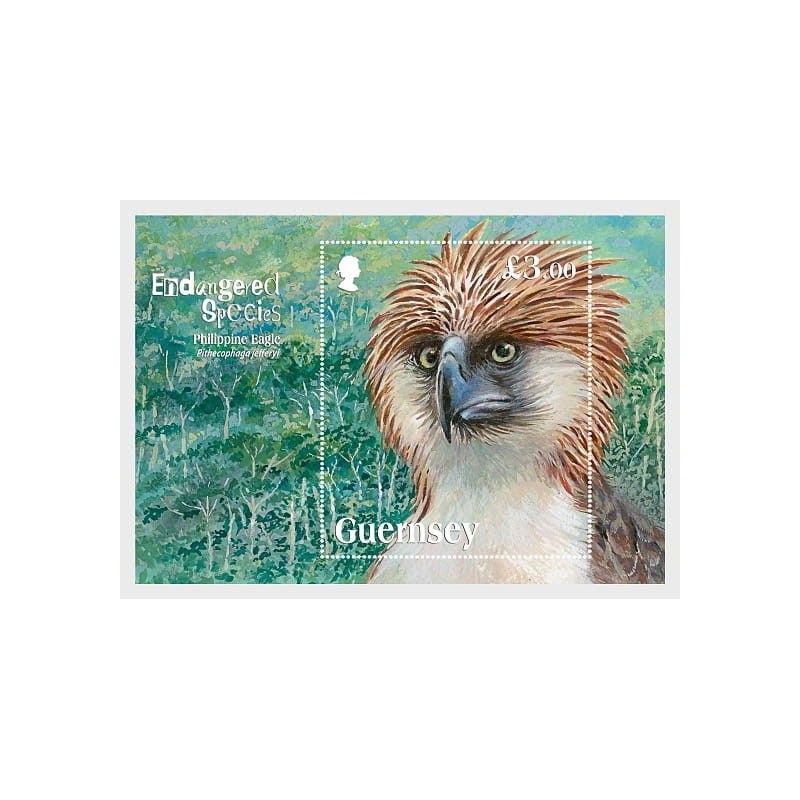 Guernsey 2016, Fauna: ptak orzeł, zagrożone gatunki. Blok **