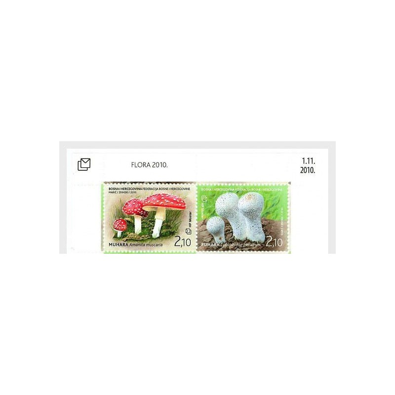 Bośnia 2010, Grzyby. Margines **