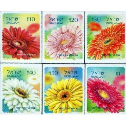 Izrael 2020, Kwiaty **