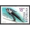 Czechy 2009, Skoki narciarskie, narciarstwo, MŚ Liberec **