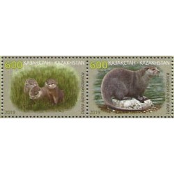 Kazachstan 2019, Fauna: wydra **