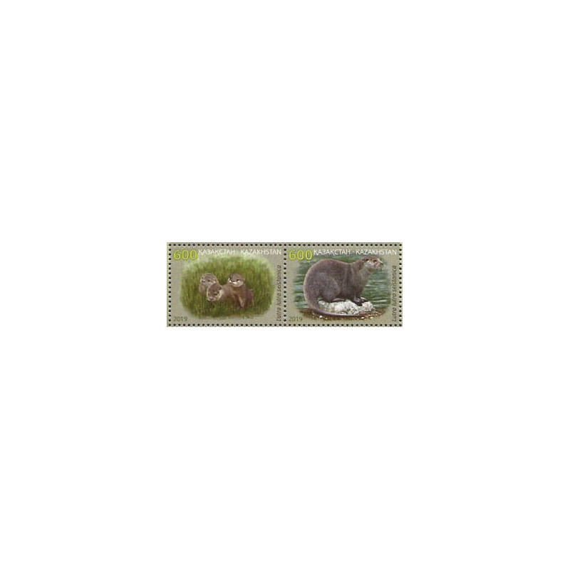 Kazachstan 2019, Fauna: wydra **