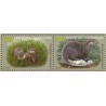 Kazachstan 2019, Fauna: wydra **