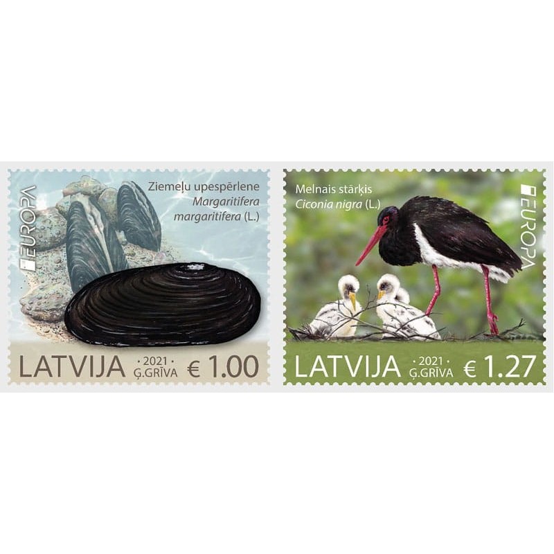 Łotwa 2021, EUROPACEPT: fauna: ptaki, bocian, małż **