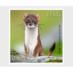 Estonia 2021, Zwierzęta: gronostaj **