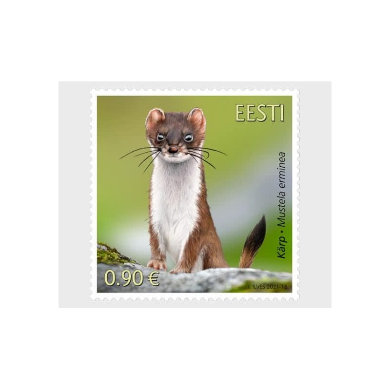Estonia 2021, Zwierzęta: gronostaj **