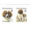Czechy 2021, Pies, psy, czeski pies górski **