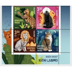 Chorwacja 2021, Koty **