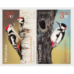 Chorwacja 2021, Ptaki: dzięcioł. Z Kirgistanem **