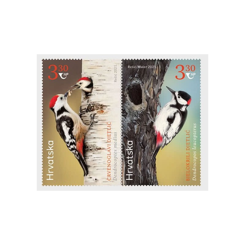 Chorwacja 2021, Ptaki: dzięcioł. Z Kirgistanem **
