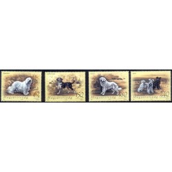 Węgry 2007, Fauna, psy **