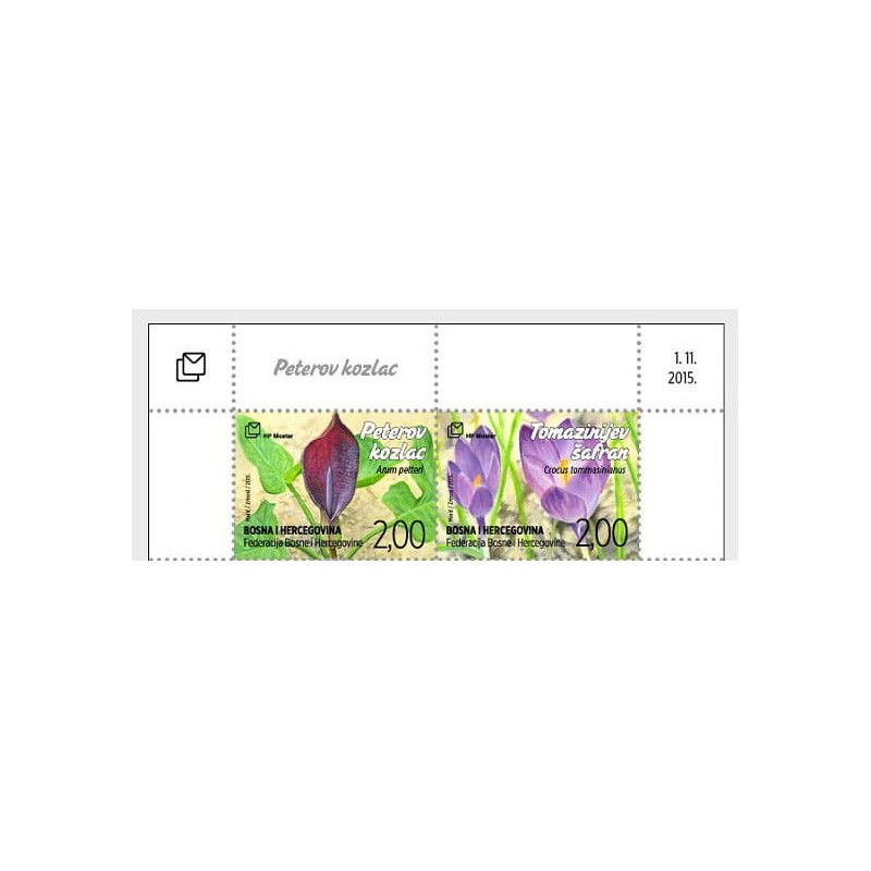 Bośnia 2015, Flora, kwiaty, szafran, arum. Margines **