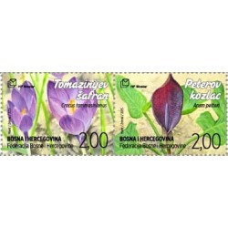 Bośnia 2015, Flora, kwiaty, szafran, arum **