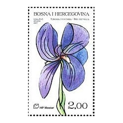 Bośnia 2007, Flora: kwiat irys **