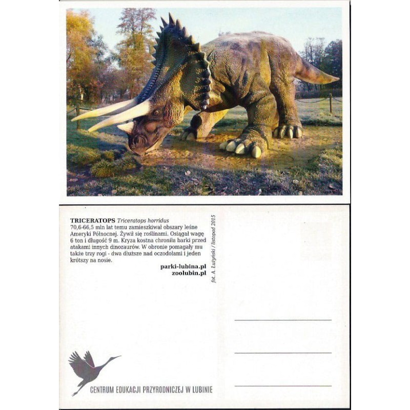 Zoo Lubin, dinozaur triceratops