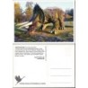 Zoo Lubin, dinozaur triceratops