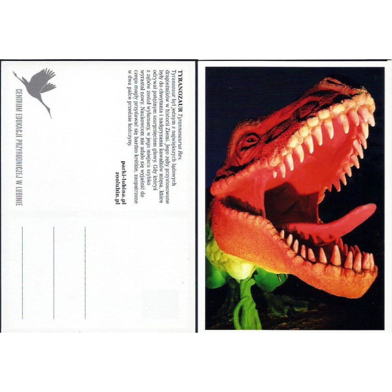 Zoo Lubin, dinozaur tyranozaur