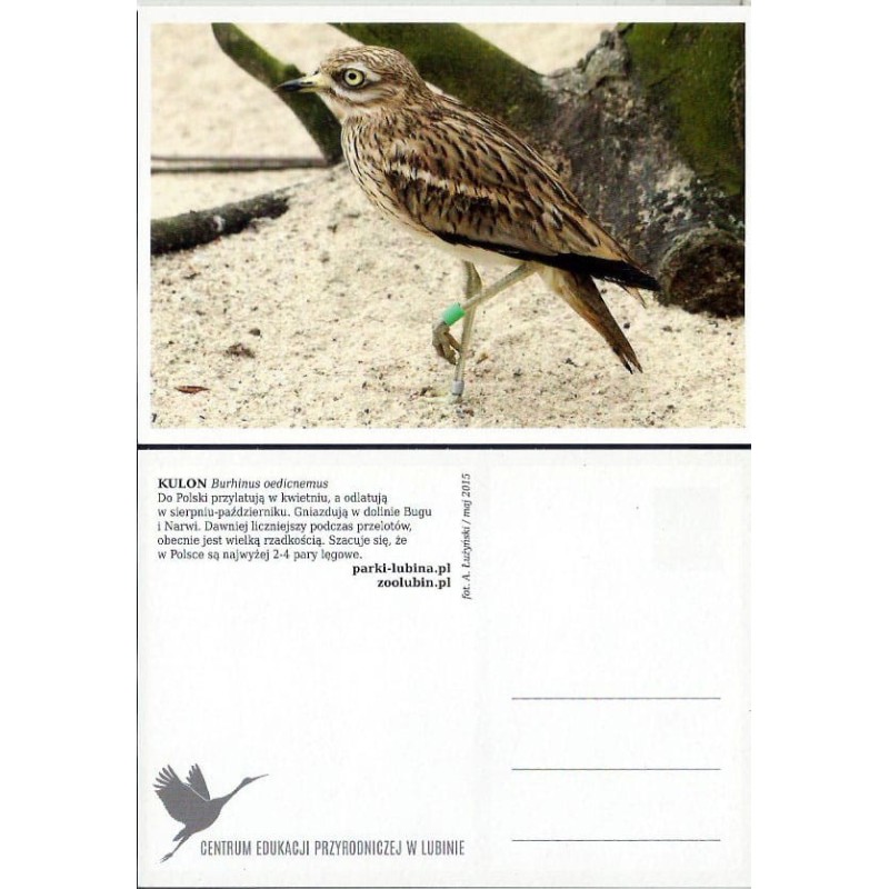 Zoo Lubin, ptak kulon