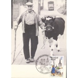 Belgia 1979, Ciney, turystyka, krowy, rolnictwo, hodowla. Karta maksimum