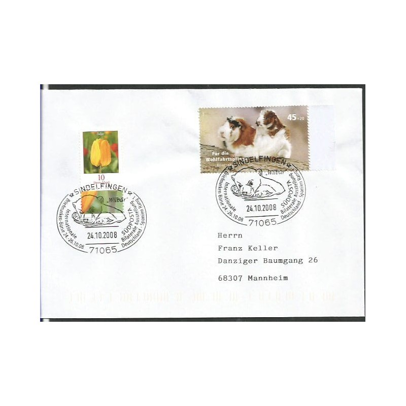 Niemcy 2008, Niedźwiedź. Sindelfingen