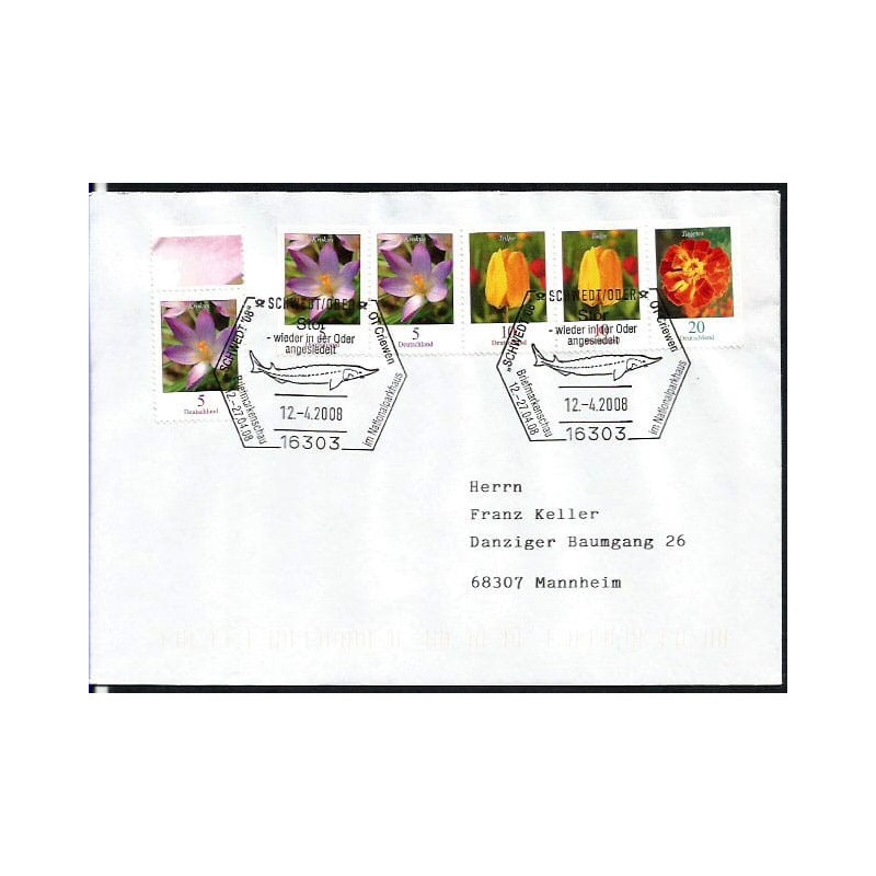 Niemcy 2008, Ryba, rzeka Odra. Schwedt